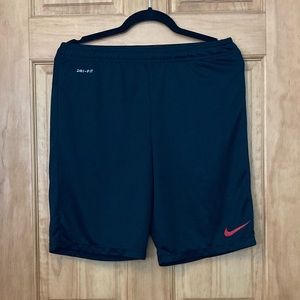 Nike Dri-fit Training Shorts